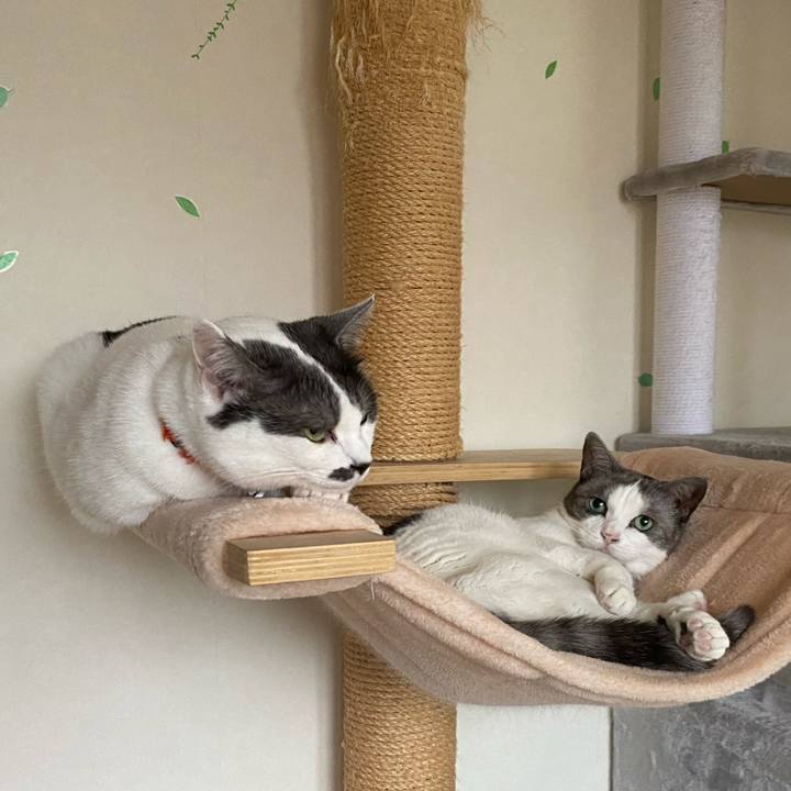 A4833075 a96c 41ae 831f 02c3ef97d077 1632617127666