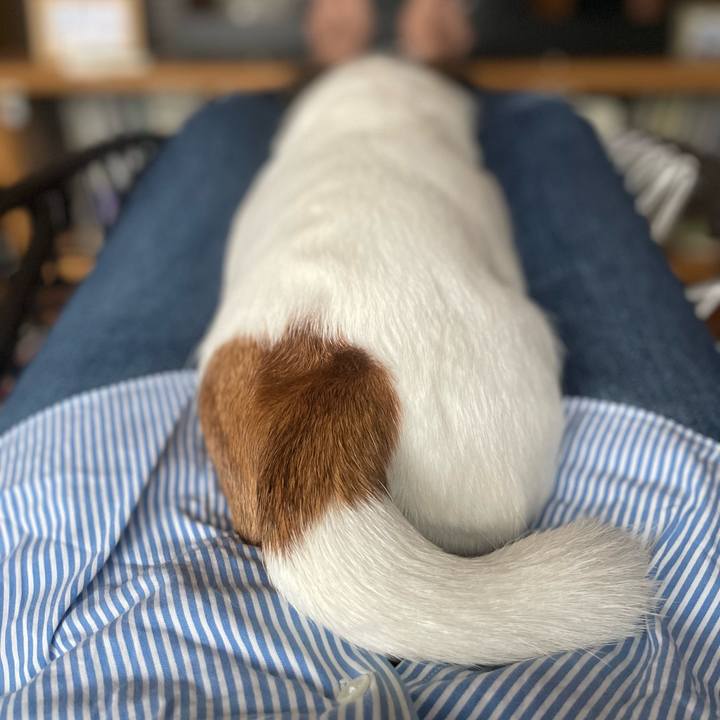 A4833742 6587 422d 85bb c4c2dced1a10 1729041401191