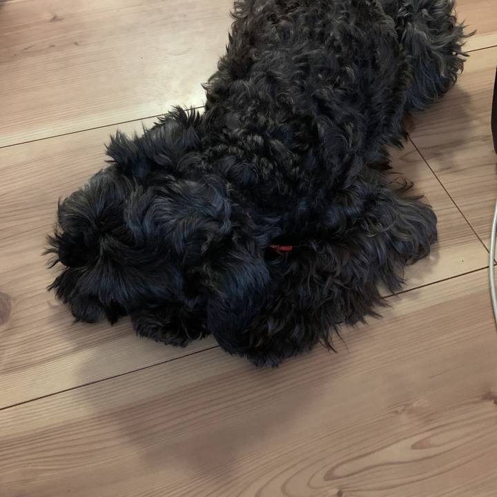 A4833813 86f6 4ecf af1a 0d93914ee7fb 1591502761416