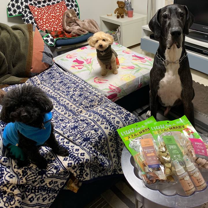 A4833f3b ed04 4373 8f54 ec794dcc519f 1548672767114