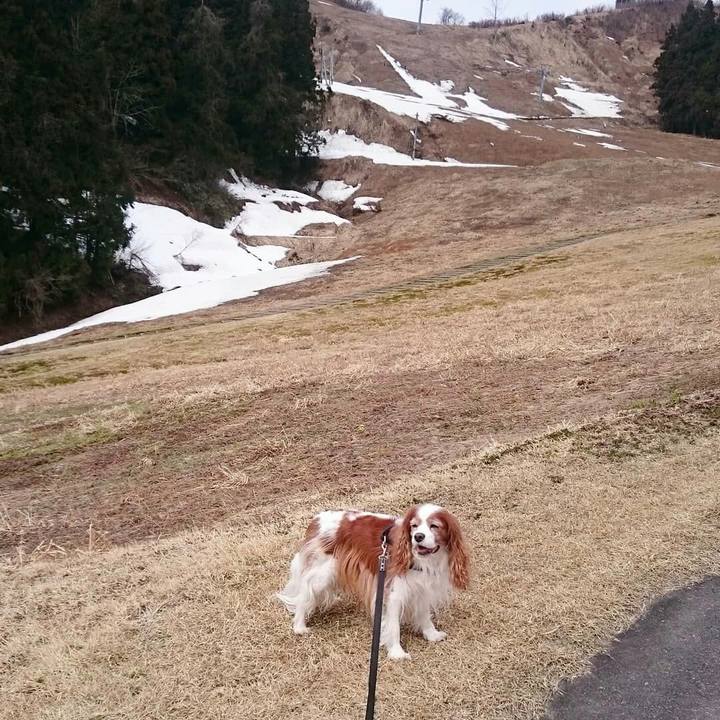 A4834ed5 5472 4c72 9e06 c2f200c8ca9e 1554603441198