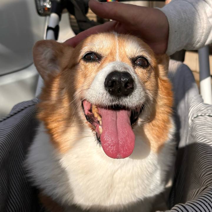 A4837b9f a3fb 448a 9d51 8d8b08e88811 1763949606681