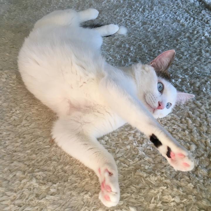 A48389b8 3861 42b4 a225 c19153fb7b49 1767662670639