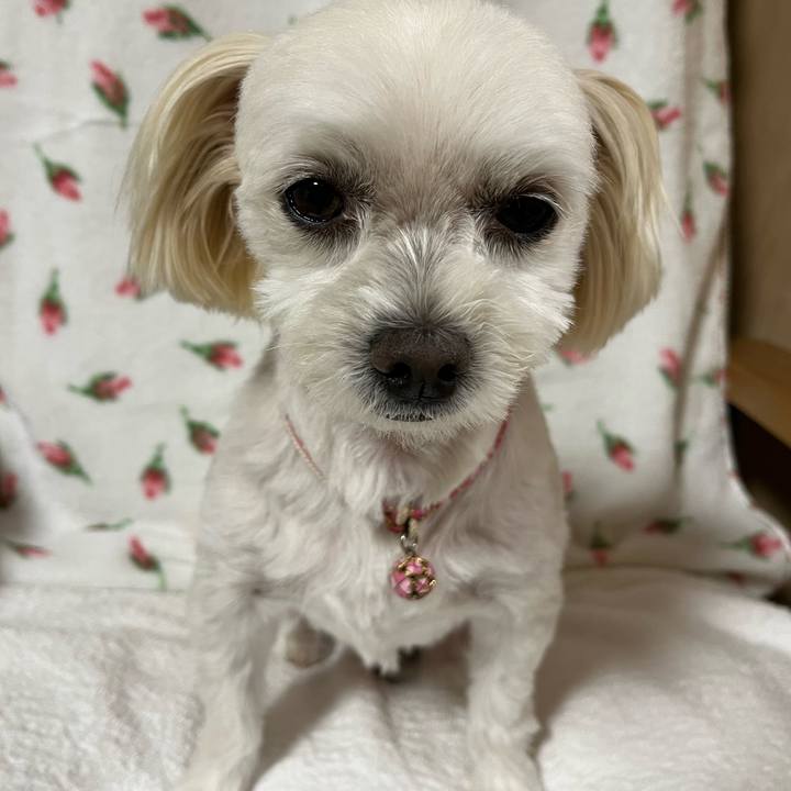 A483ed9b 45d8 42c8 8ed5 1e1cc09fbcda 1665491898226