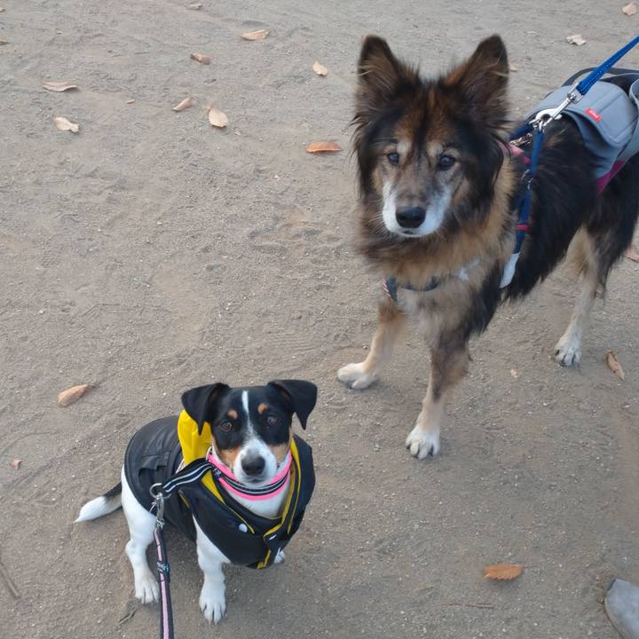 A4840a2f f676 43f9 9876 135196323822 1609340889337