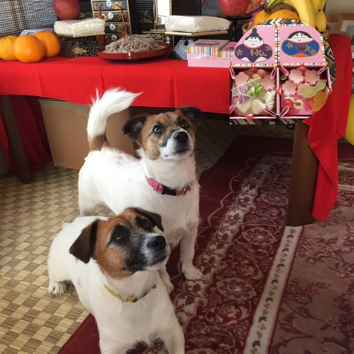 A4841cf8 e537 4c14 8d63 713a4ccc2427 1523168066200