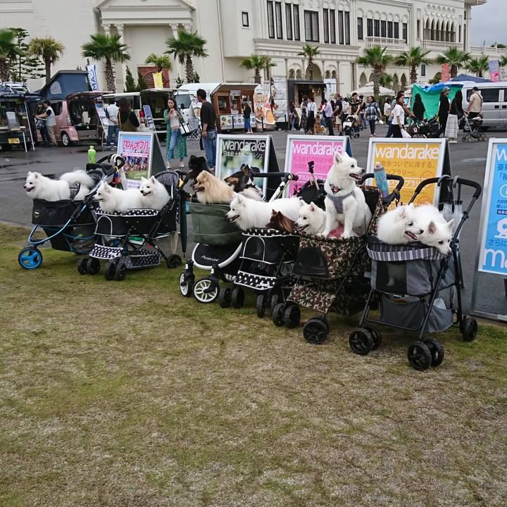 A4842363 a346 4928 9797 7cea7d55cbb9 1560064831888