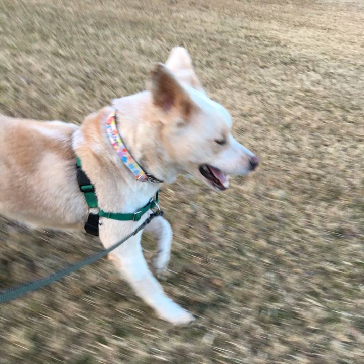 A48433d1 a7f0 4647 89e8 cd62300580d4 1515928544696