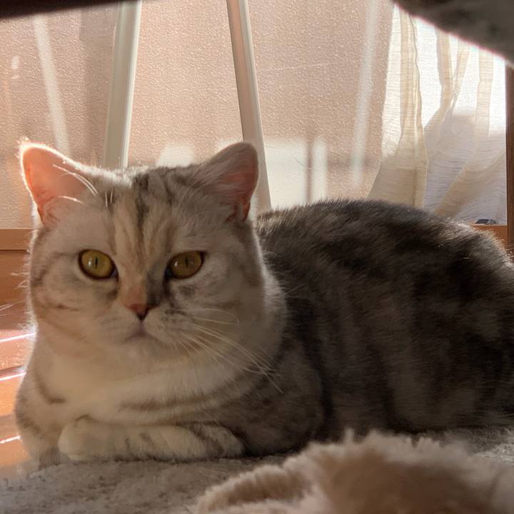 A4847037 df9a 445c 92ab 21d2e04685e6 1705192179874