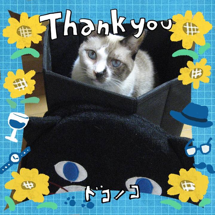 A484c0d2 e4ff 4ec0 bab0 040d6d06ed4e 1717639053070