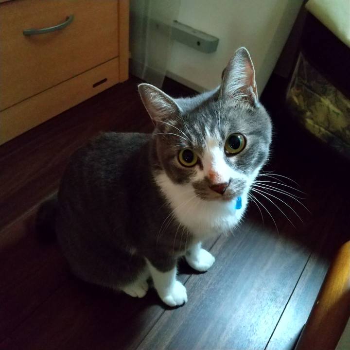 A484dbdb f582 4a0e 8be7 5a97a89963ad 1599690787925