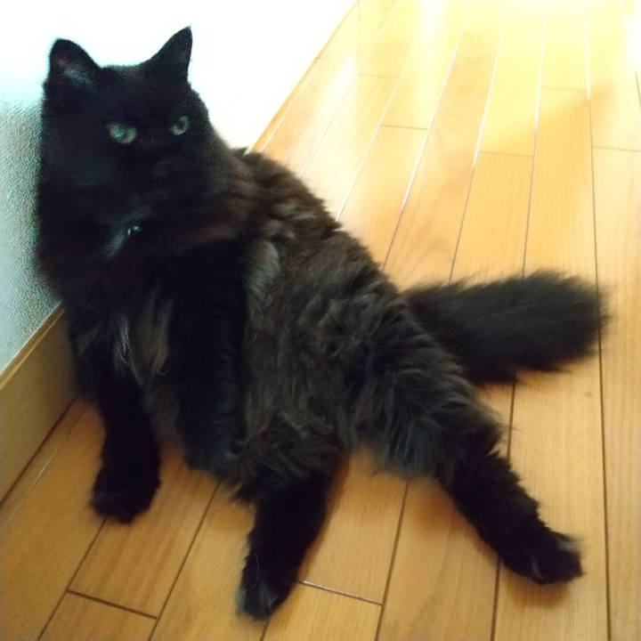 A484e8ba 02a7 4d42 947d ae8f42d34ad7 1626486222879