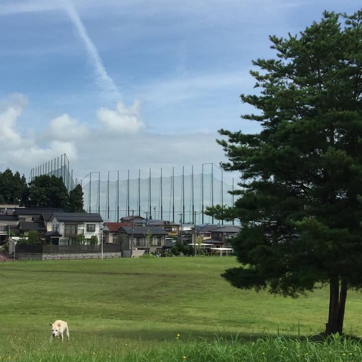 A4852f21 f1b6 4576 9b04 5e0255f1096f 1561331877337