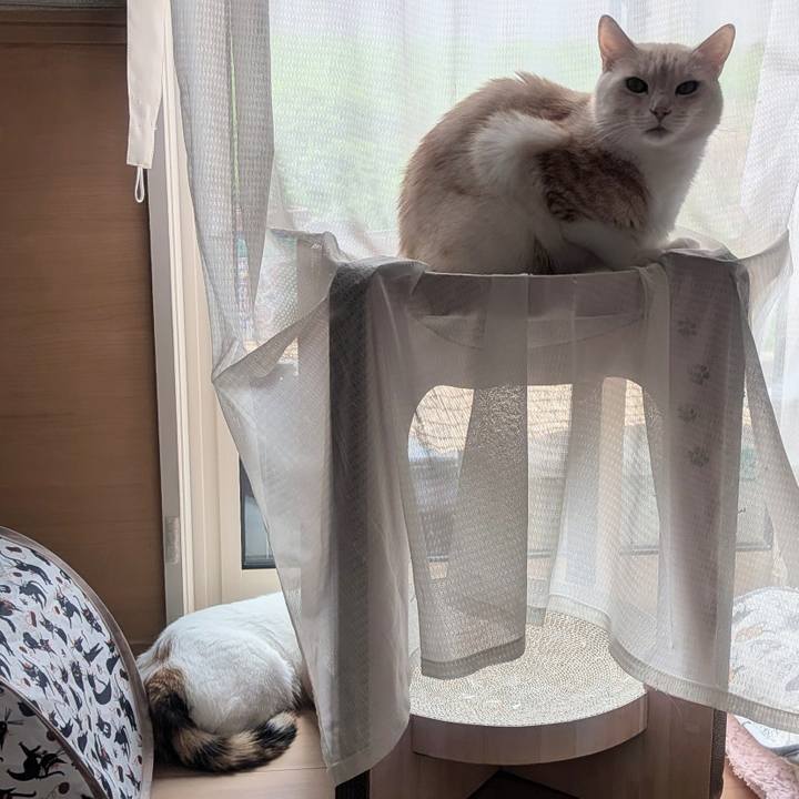 A4855e3c 2171 40c3 998a 7a22c24bf551 1755310925629