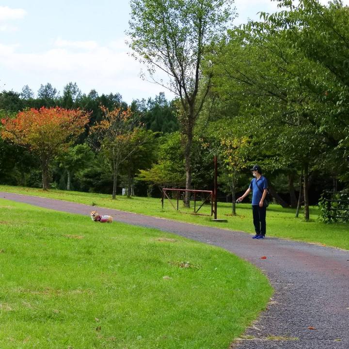 A48574e2 c833 407a b1a2 b1e251d2b23a 1601045237849