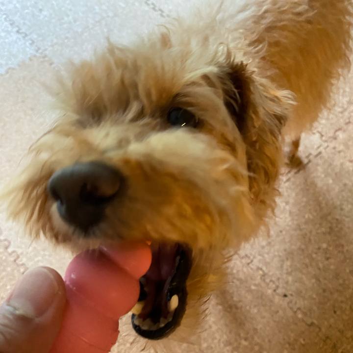 A485afd0 dbd0 405b 8ffe 79b8ec99c868 1661469468740