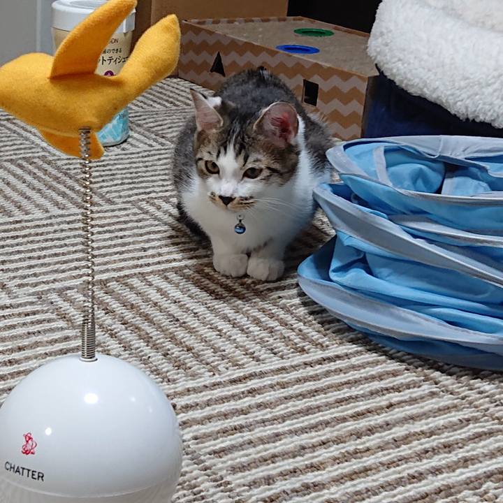 A4862fe7 0c34 496a 9a82 82fa93e85336 1547463831891