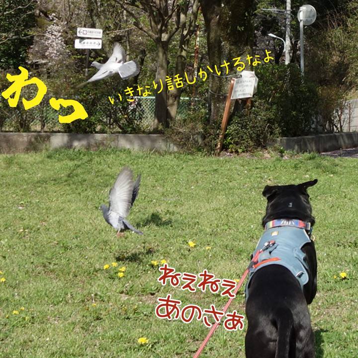 A4863f09 cf2a 490e a413 5ad2c993cd5e 1712805756828