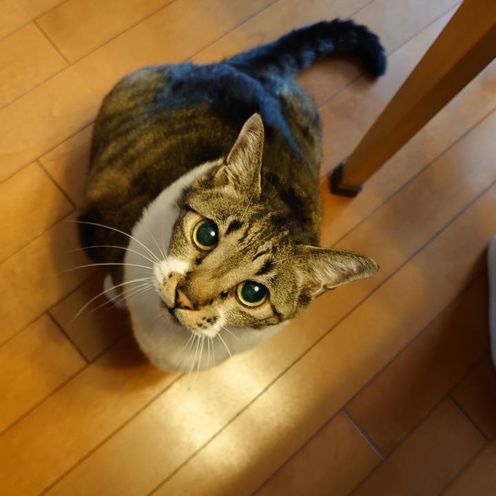 A4866d54 4165 4744 9c51 cc375bb092e8 1685057366960