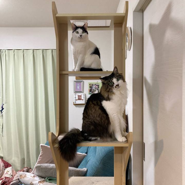 A486751f f192 4653 a3a1 a3a9f43f3f6f 1770039729507