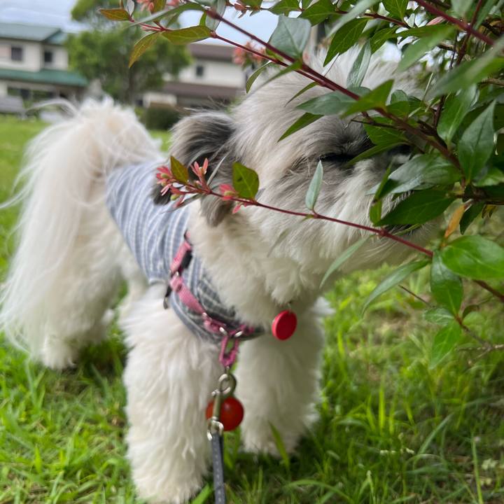 A48682e3 4732 4cef b477 31bae3d0eb63 1717942249104