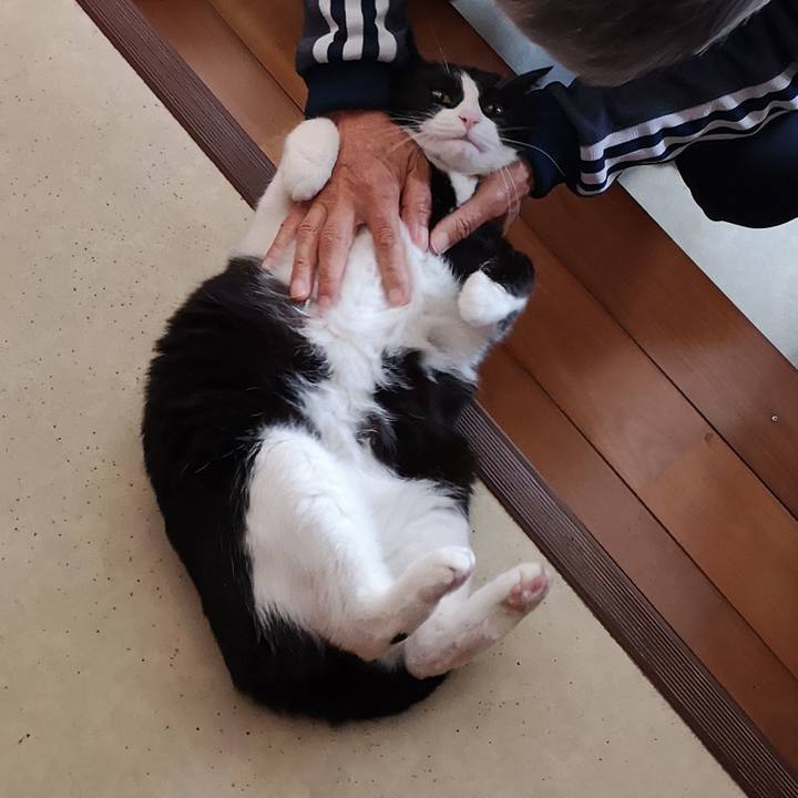 A4868364 0fe0 46ef 8c09 9139f90a5694 1588130444578