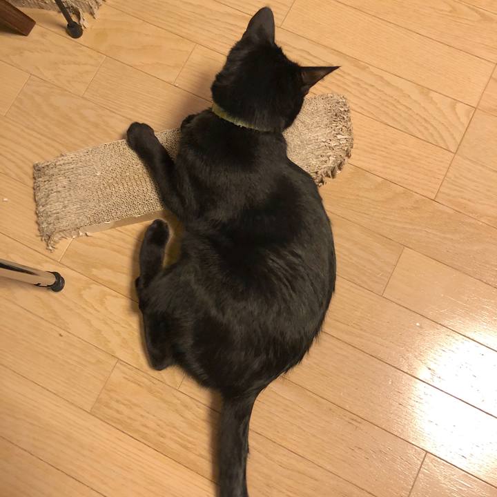 A486927b 90c9 417f a157 bb9a36bcdb61 1547213138797