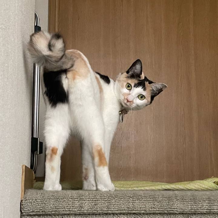 A486a2d4 80a0 4cb5 94c7 44fba05799a1 1709255205802