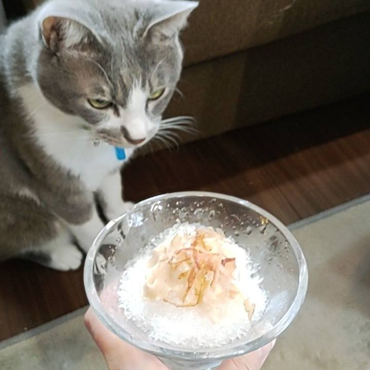 A486a402 4f69 46ad bf7d 8acf92f55032 1693029622333