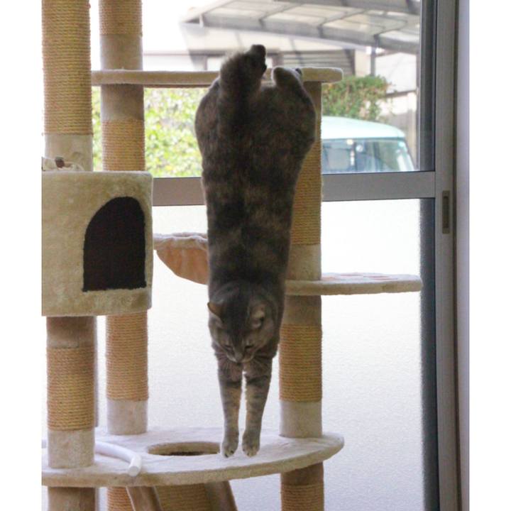 A486a458 dd75 4581 8da7 a37b98b6355a 1611822088031