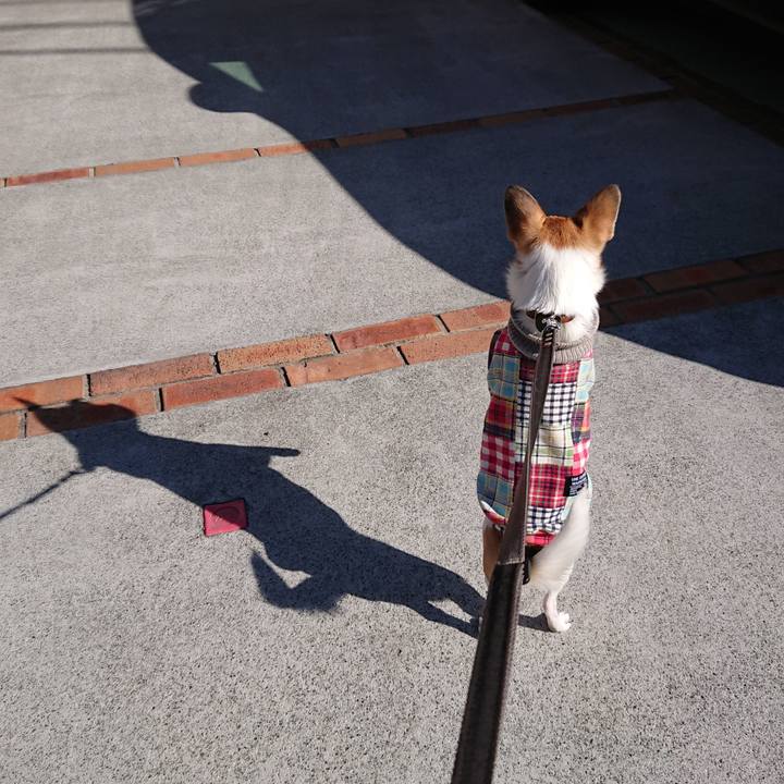 A486a9dd a9ae 4f48 9c43 d943d4642a4d 1579595497756