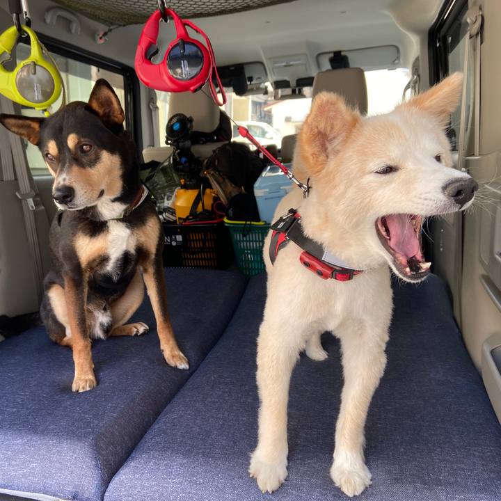 A486ad3d 121e 4cd0 8eb2 858b421bf131 1653225520109