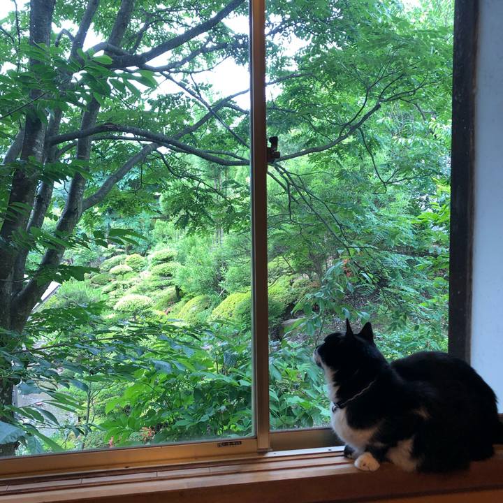 A486b41e 1b13 48a5 809a b972f0702683 1592795356235