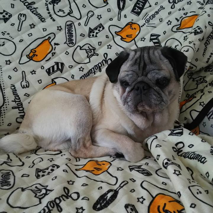 A486b841 c90a 4c6f 9935 56019461977c 1558663001750