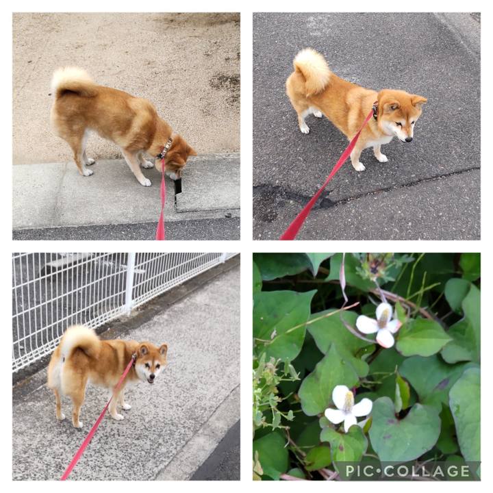 A486f366 9c27 41f8 98a3 df06a459ba3a 1749245302935