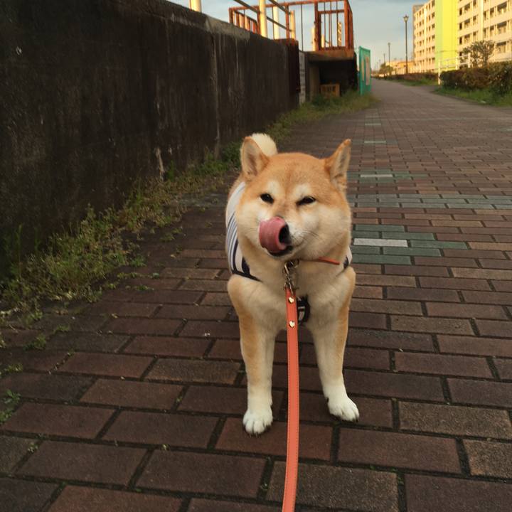 A4870d9c 6b6f 422a 9bbe 439ba6440591 1555752487082