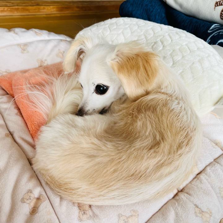 A4873a3a 77fc 44fd a7c2 1c68ba839c28 1732673866926