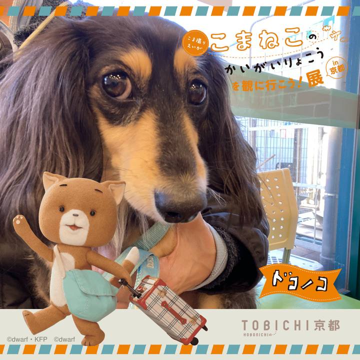 A4874966 cf3f 4daa 9cc3 cf67473ebfe6 1740183583638