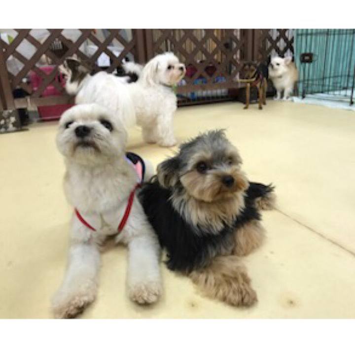 A4876149 289f 431e b79e 8fc4319508de 1537441736736