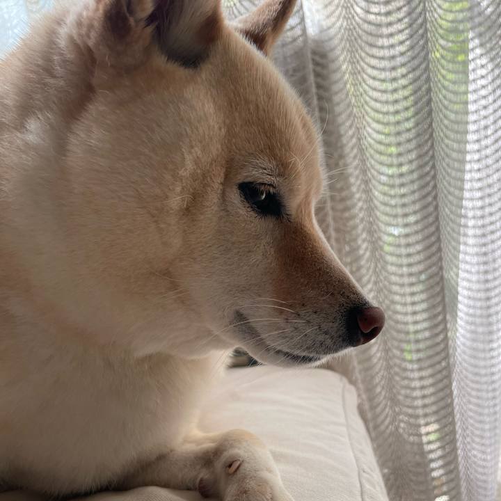 A487772b 2167 48c3 bbf5 9ff3d4a2ef02 1716676475067