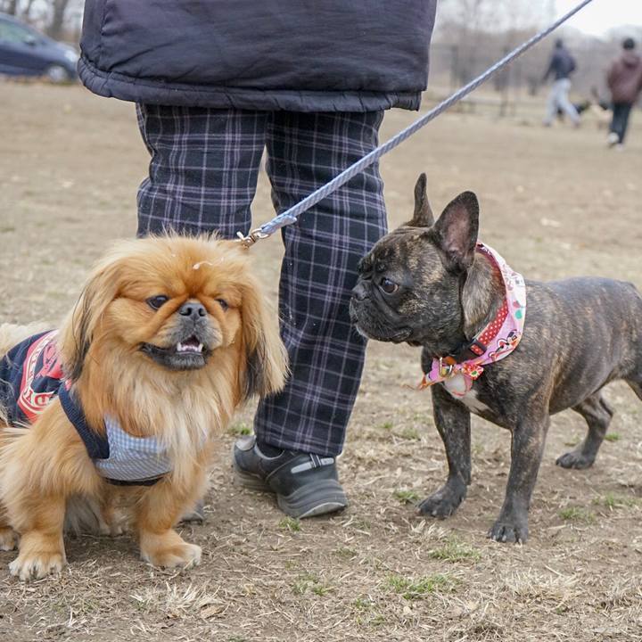 A4878254 9411 4b31 b8a8 96fd429bde1b 1515380076126