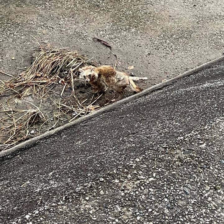 A487ea8e 57ee 4679 ad7d f952b5abe012 1677144167378