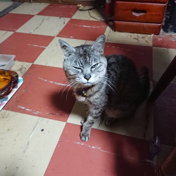 A4880b19 78fa 44bf 8766 5215c0f58c90 1595017378010