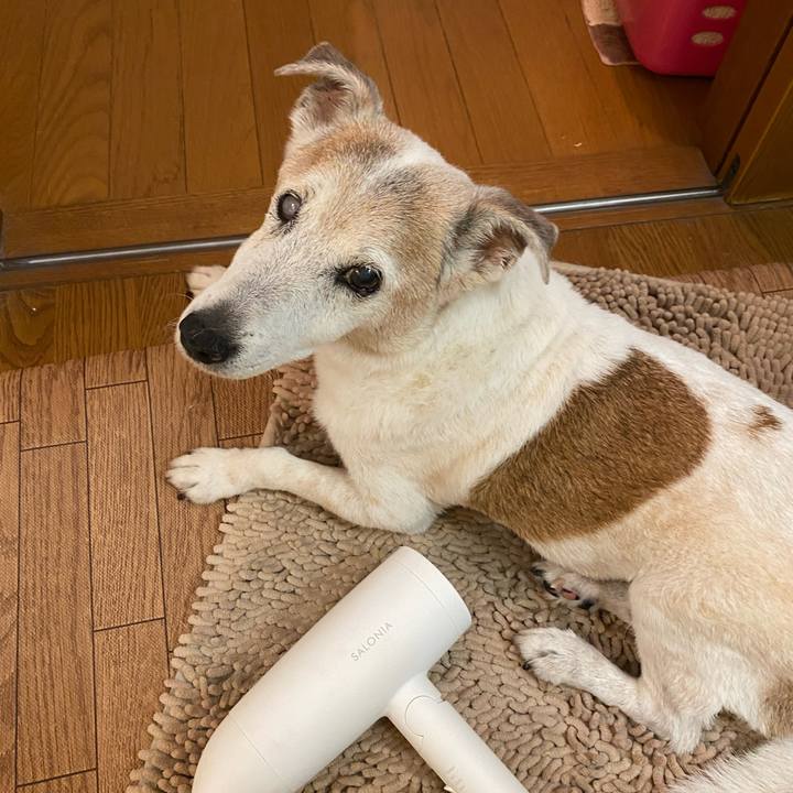 A48818fb 0fbf 4aba 8ef7 bc064b54c559 1687661628611