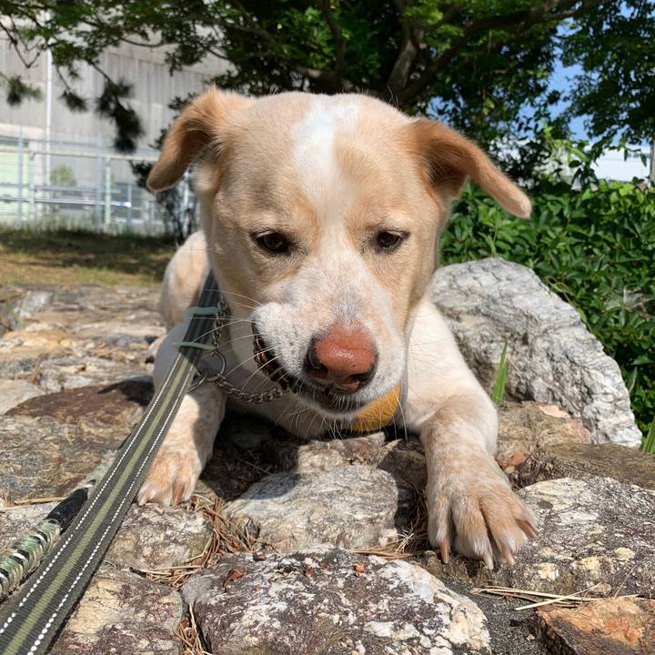 A48828b6 ee1d 48b6 99a2 e93aedee705b 1559775223908