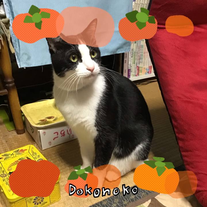 A488399c cd5b 45b6 85ed 8d91370b1012 1761302493535