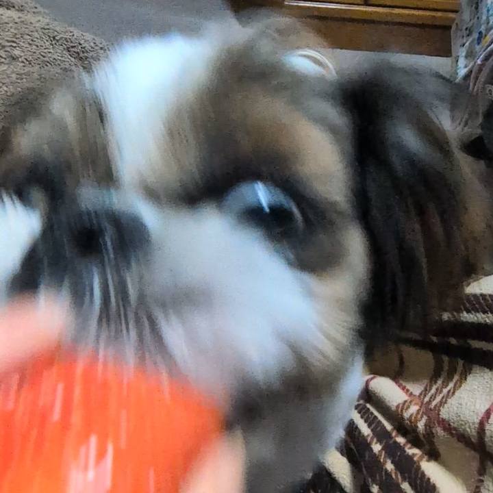 A488481b 5438 4962 b3be 09b978b6f689 1770473572075