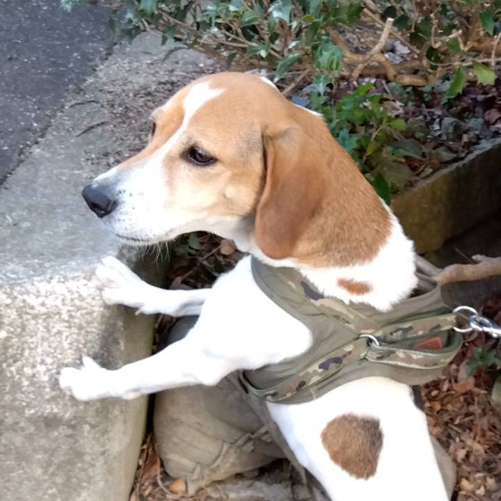 A4885241 566e 4c00 98ab 0181a8835512 1676189868892