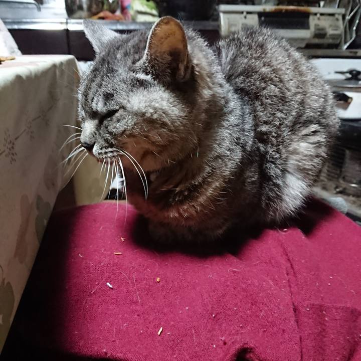 A48854b0 2f51 4d4d a59e 78708cff19be 1571428834913