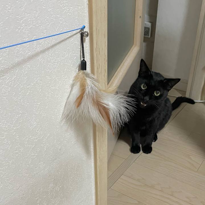 A488569c e1fe 4418 92d5 87f0ed54a5fc 1755768953461